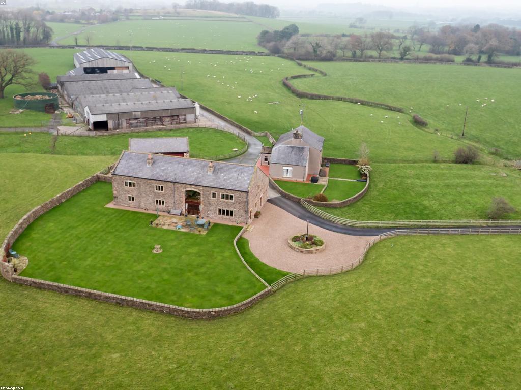 ផលប៉ះពាល់នៃយុទ្ធសាស្ត្របញ្ចុះតម្លៃលើការលក់